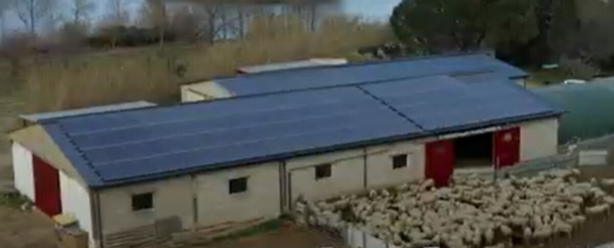 Une centrale photovoltaïque citoyenne installée sur une bergerie à Villelongue dels Monts (66)  